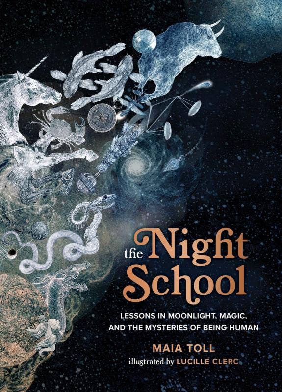 Night School: Moonlight and the Mysteries of Being Human